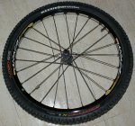 RUEDA DELANTERA_02.JPG