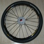 RUEDA TRASERA_01.JPG