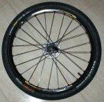 RUEDA TRASERA_02.JPG