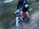 IMG_2658.jpg