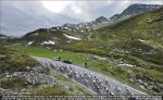 swiss.jpg