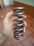 resizeddsc03343.jpg