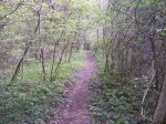 Photo 050.jpg