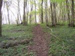 Photo 053.jpg