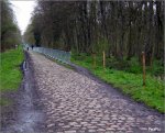 arenberg-middle.jpg