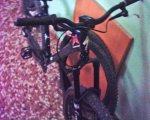bici2.JPG