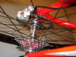 DSC02843.JPG