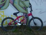 bici 2.JPG