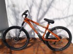 bici copia.jpg
