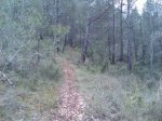 Imagen029.jpg