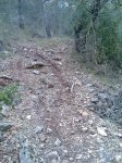 Imagen028.jpg