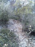 Imagen027.jpg