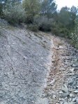 Imagen026.jpg