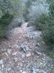 Imagen032.jpg