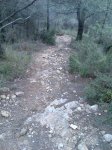 Imagen021.jpg