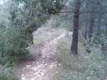 Imagen023.jpg
