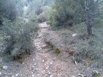Imagen024.jpg