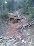 Imagen033.jpg