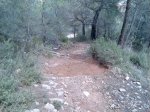 Imagen035.jpg