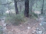 Imagen034.jpg