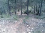 Imagen036.jpg