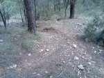 Imagen037.jpg