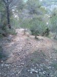 Imagen038.jpg
