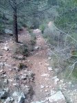 Imagen040.jpg