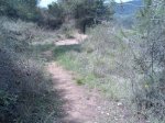 Imagen042.jpg
