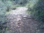 Imagen044.jpg