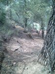 Imagen045.jpg