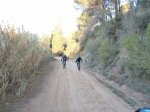DSC02378.JPG