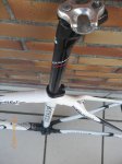 Colnago3.jpg