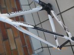 Colnago6.jpg