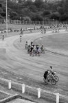 PhotoArt_09252012012558.jpg
