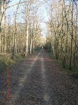 Foto 01.JPG