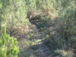 IMG_4272.redimensionado.JPG