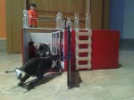 IMG_20121229_135301.jpg