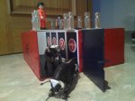 IMG_20121229_135317.jpg