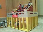 IMG_20130104_194136.jpg