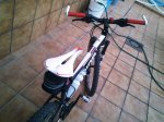 dsc0188ie.jpg