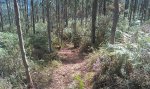 IMAG0211.jpg