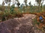 IMG-20121102-WA0011.jpg