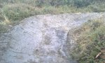 IMG-20121201-WA0001.jpg