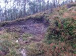 IMG-20121207-WA0001.jpg