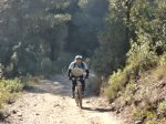DSC02425.JPG