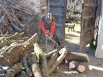 DSC02436.JPG