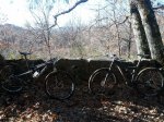 IMG_20130105_111404.jpg