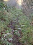 DSC02740.JPG
