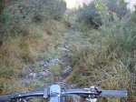 DSC02741.JPG